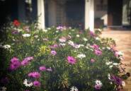 Resale - Villa / Semi semi-detached -
Alfaz del Pi - Albir