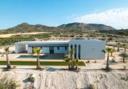 Nouvelle construction - detached -
Pinoso