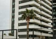 Obra nueva - Ático -
Calpe