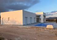 Obra nueva - detached -
Pinoso