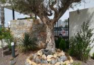 Nouvelle construction - high-bungalow -
Torrevieja