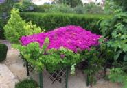 Resale - Villa -
Jávea - Cansalades