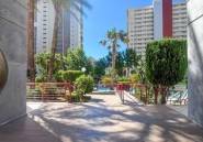 Wiederverkauf - Wohnung -
Benidorm