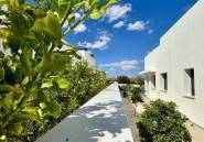 Nieuwbouw Woningen - detached -
Benijofar