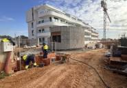 New Build - ground-floor -
Playa Flamenca