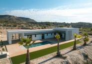 Nouvelle construction - detached -
Pinoso