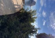 Resale - Villa -
Calpe - Manzanera