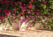 Resale - Villa / Semi semi-detached -
Alfaz del Pi - Albir