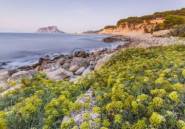 New Build - Villa -
Benissa - Cala Advocat