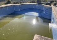 New Build - Villa -
Benissa