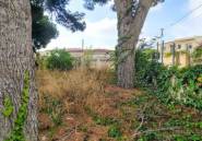 Reventa - Parcela / Terreno -
Alfaz del Pi