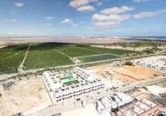 New Build - Bungalow -
Torrevieja