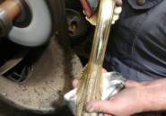 Nouvelle construction - Villa -
Benissa