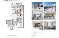 New Build - Apartment / flat -
Guardamar del Segura
